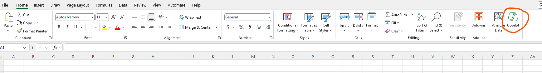 Copilot in Microsoft Excel 