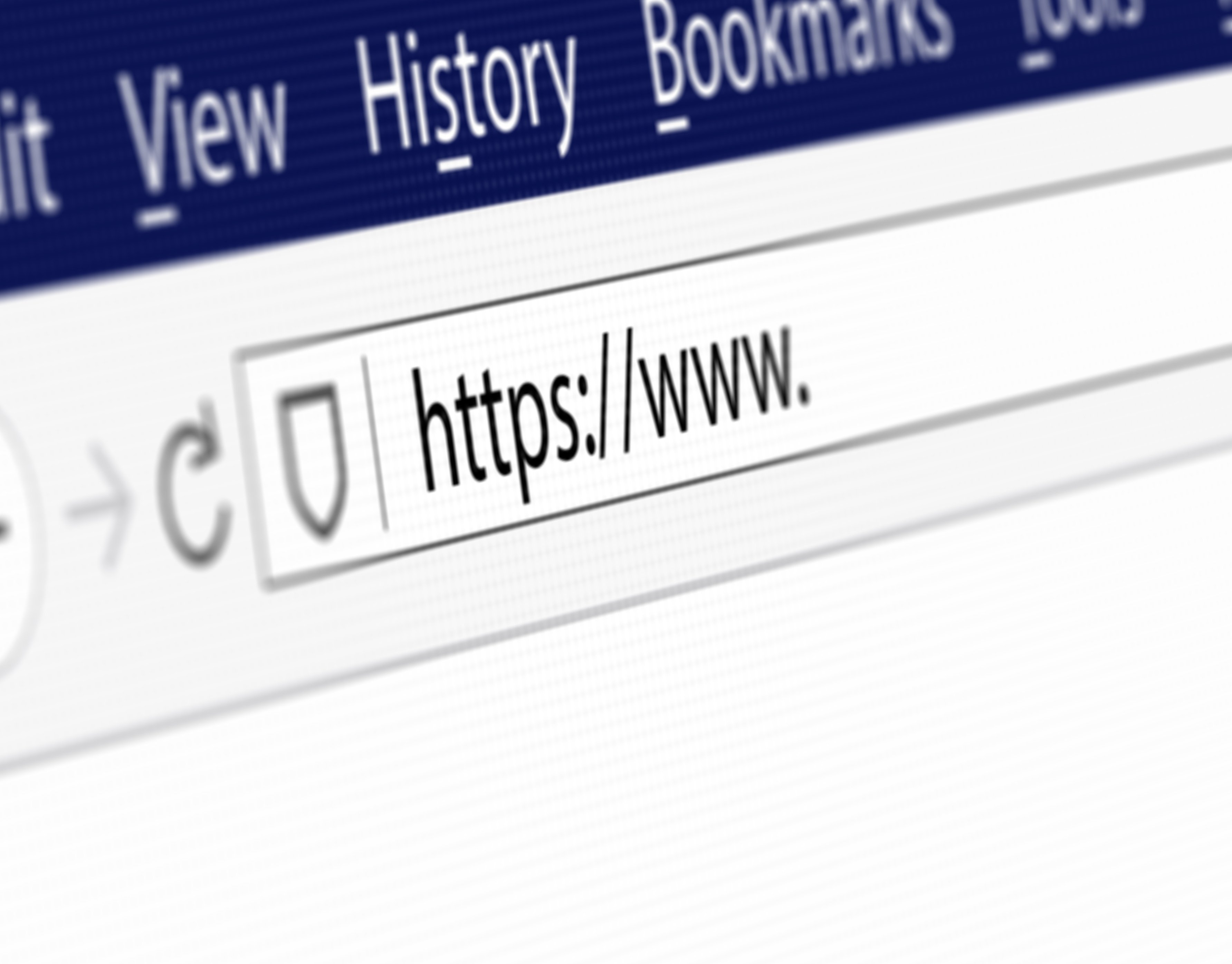 Secure your Domain Name